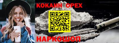 СК Обь