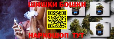 СК Обь