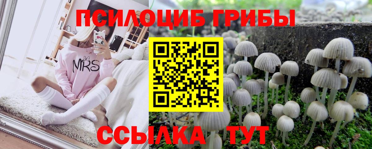 Симферополь  Псилоцибиновые грибы ЛСД  Вход с VPN 
